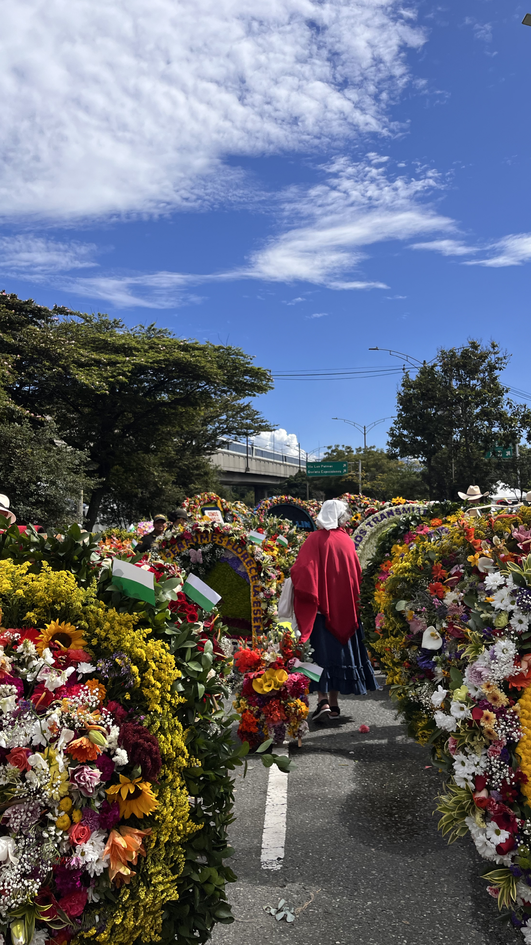 Medellín se vistió de colores y cerró con broche de oro su Feria de las Flores 2024