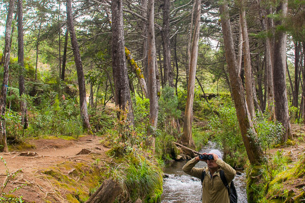 Turismo de Bienestar: Medellín sigue posicionándose entre los mercados más fuertes de Latinoamérica