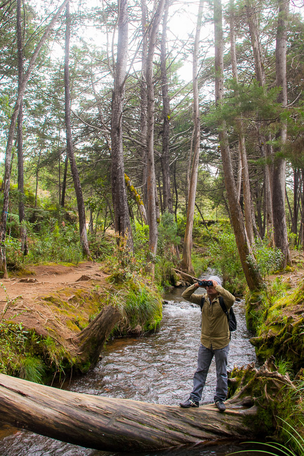 Turismo de Bienestar: Medellín sigue posicionándose entre los mercados más fuertes de Latinoamérica