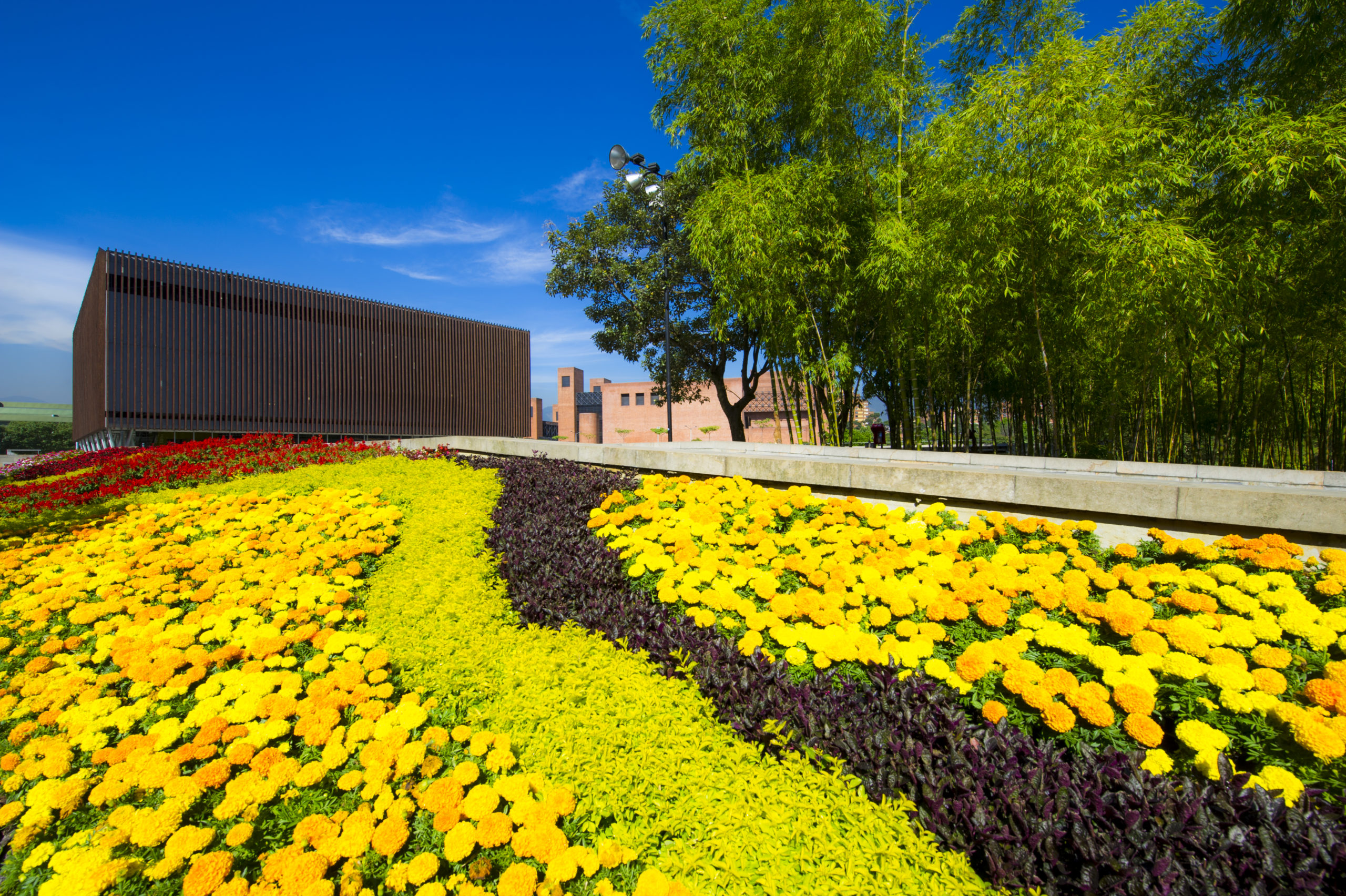 19 AÑOS EXPORTANDO AMOR POR MEDELLÍN Y ANTIOQUIA
