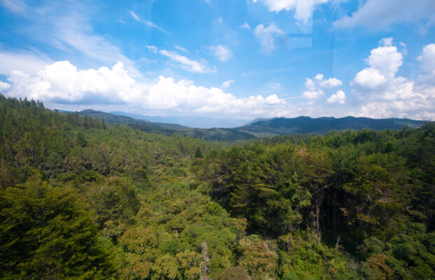 When nature tests destinations: the role of tourism and articulation to keep moving forward