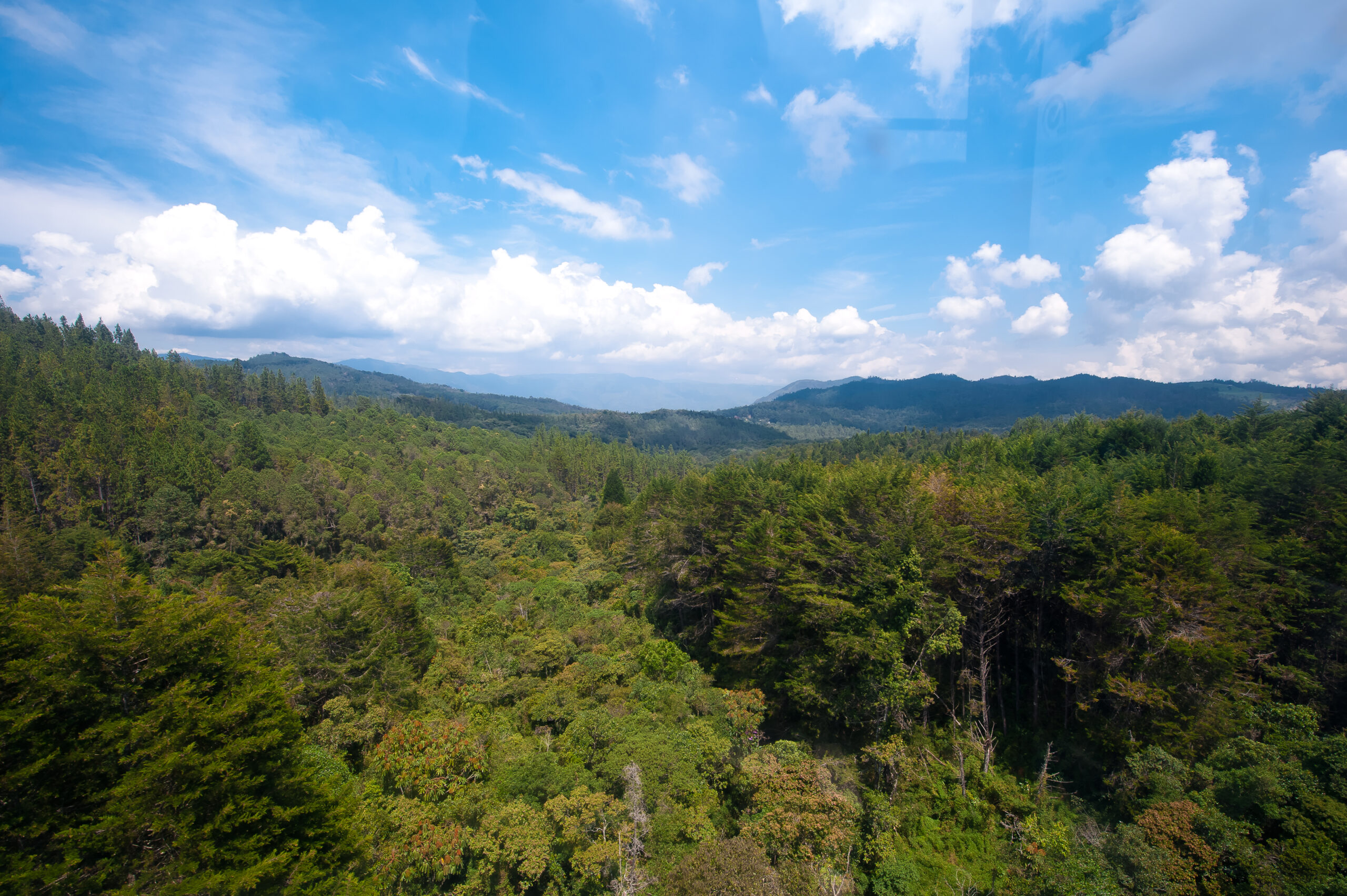 Cuando la naturaleza pone a prueba a los destinos: el rol del turismo y la articulación para seguir avanzando 