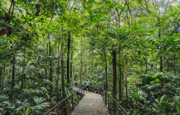 Naturaleza y sostenibilidad: el compromiso de Medellín y Antioquia frente a los retos del turismo global