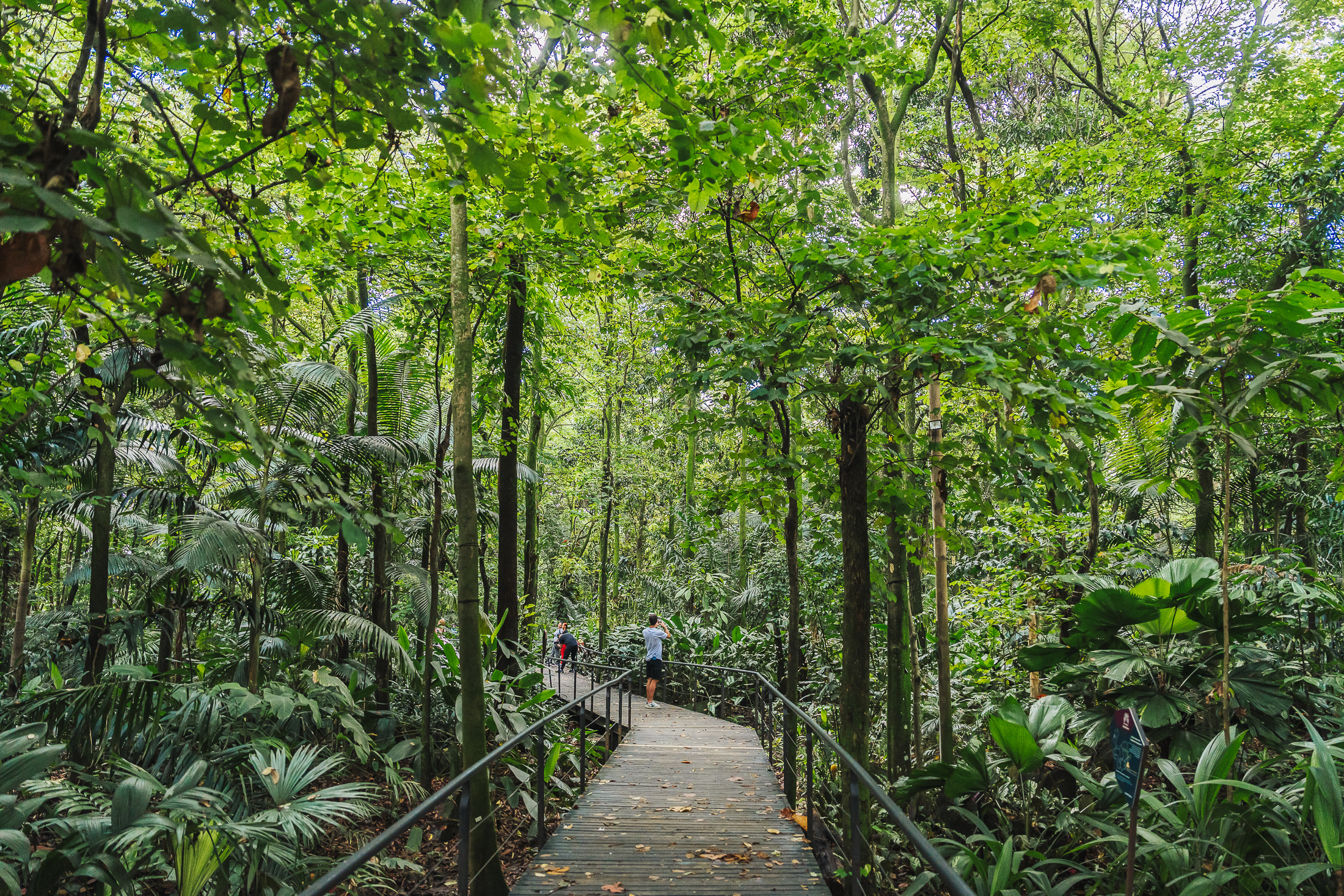 Naturaleza y sostenibilidad: el compromiso de Medellín y Antioquia frente a los retos del turismo global