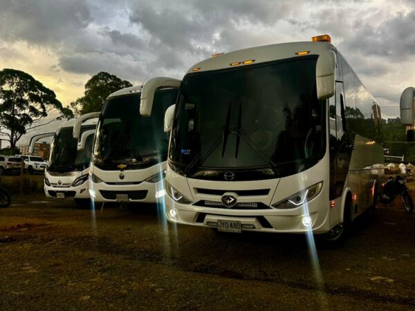 GLOBALBUS (2)