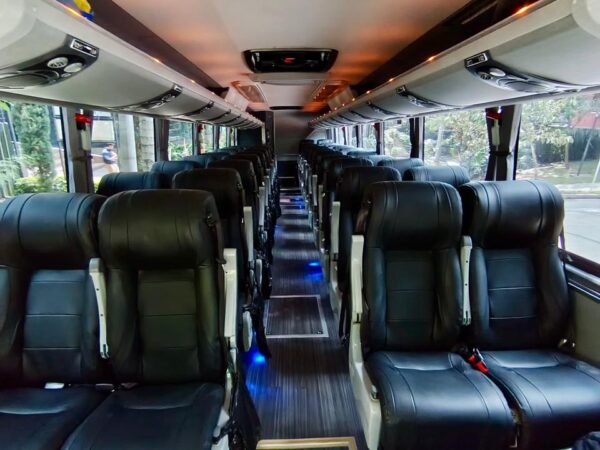 GLOBALBUS (25)