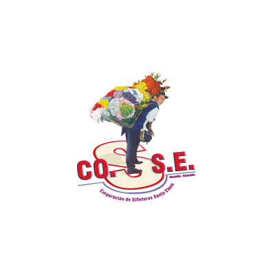 LOGO-CO.SS_.E-scaled