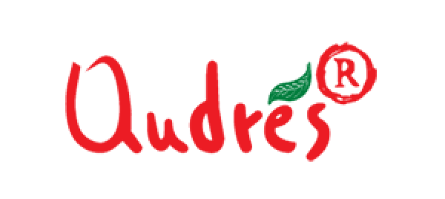 logo-andres
